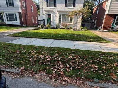 Lawn Care service in Fort Lee, 07024