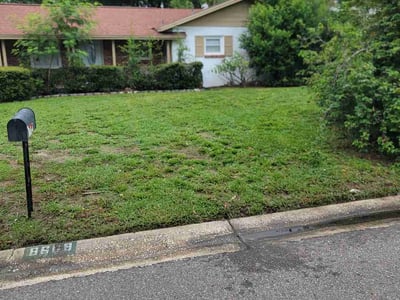Lawn Care service in Pittsfield, 01201