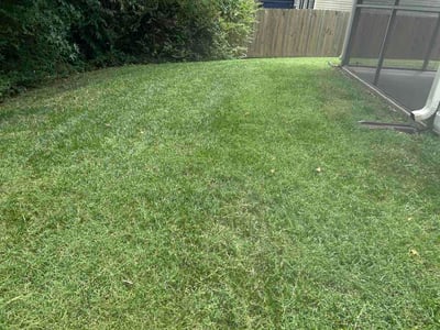 Lawn Care service in Graham, 27253