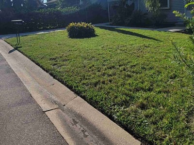 Lawn Care service in Holiday, 34691