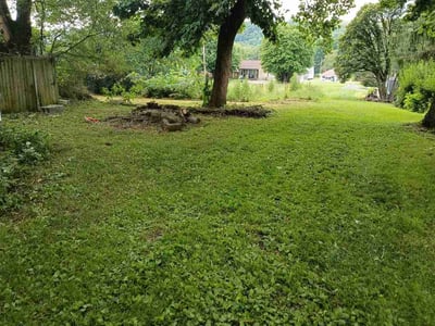 Lawn Care service in Pottsville, 17901