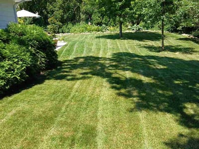 Lawn Care service in Cedarburg, 53012