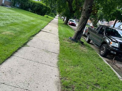 Lawn Care service in Brookfield, 53005