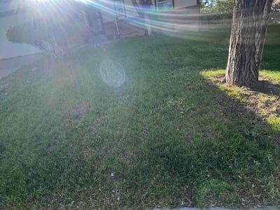 Lawn Care service in Rome, 13440