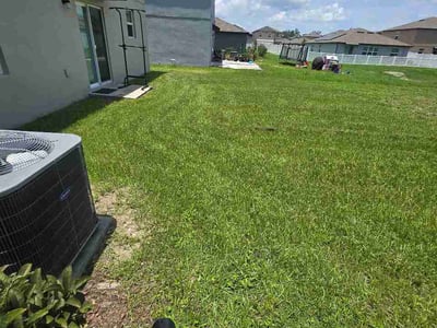 Lawn Care service in Zephyrhills, 33542
