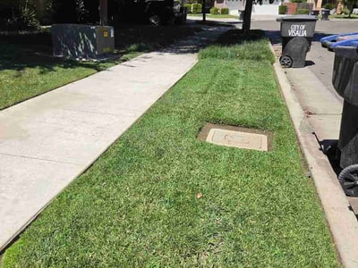 Lawn Care service in Porterville, 93257