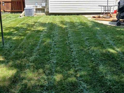 Lawn Care service in Shorewood, 53211