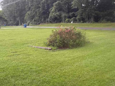 Lawn Care service in College Park, 30337