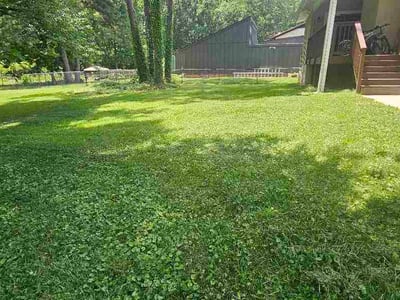 Lawn Care service in College Park, 30337