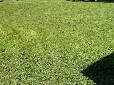 Lawn Care service in Coweta, 74429