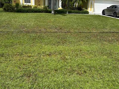 Lawn Care service in Tuckerton, 08087