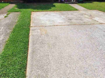 Lawn Care service in Flowery Branch, 30542
