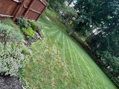 Lawn Care service in Allison Park, 15101