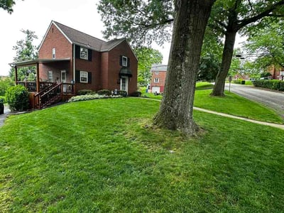 Lawn Care service in Allison Park, 15101