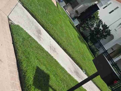 Lawn Care service in Plant City, 33563