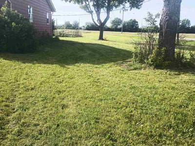 Lawn Care service in Beaver, 15009