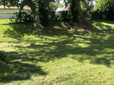 Lawn Care service in Union, 63084