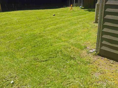 Lawn Care service in Buckley, 98321