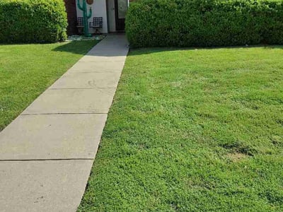 Lawn Care service in Abilene, 79602