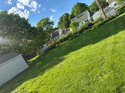 Lawn Care service in Billings, 59101