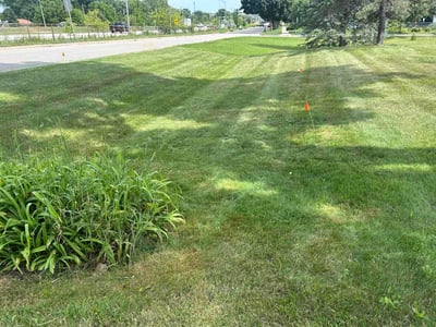 Lawn Care service in Elm Grove, 53122