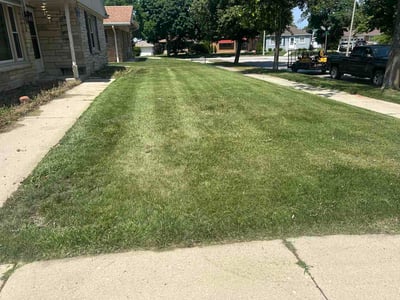 Lawn Care service in Elm Grove, 53122