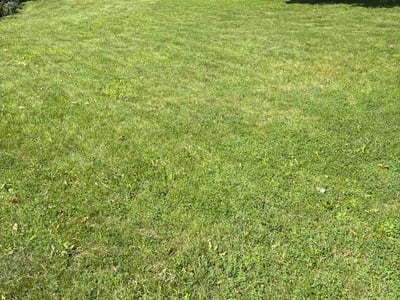 Lawn Care service in Chippewa Falls, 54729