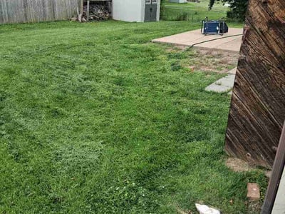 Lawn Care service in Republic, 65738