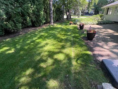 Lawn Care service in Chippewa Falls, 54729