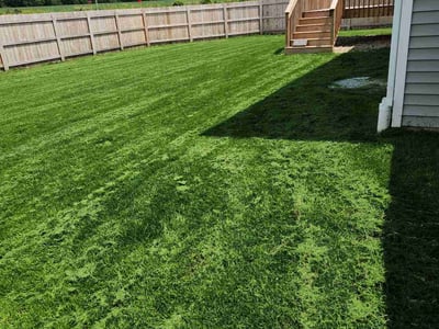 Lawn Care service in Chippewa Falls, 54729