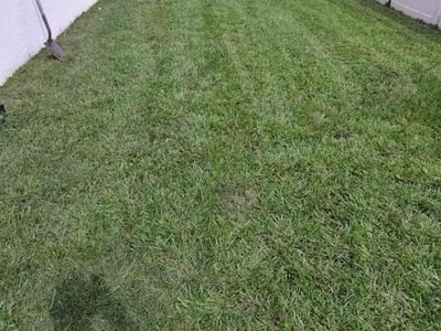 Lawn Care service in Bergen County, 07652