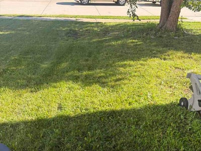 Lawn Care service in Omaha, 68102