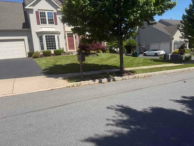 Lawn Care service in Easton, 18042