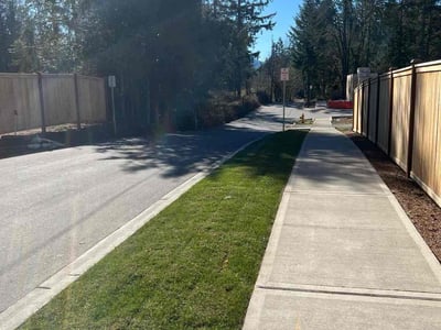 Lawn Care service in Sammamish, 98074