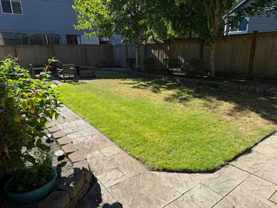 Lawn Care service in Maple Valley, 98038