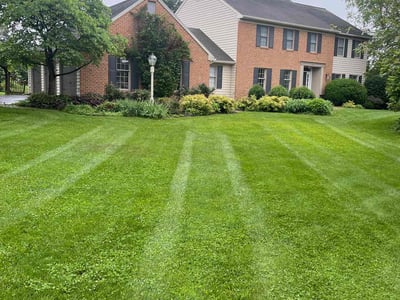 Lawn Care service in Lititz, 17543