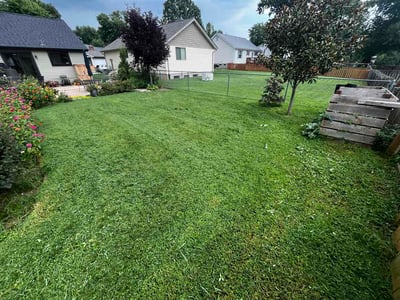 Lawn Care service in Affton, 63123