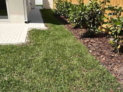 Lawn Care service in Maitland, 32751