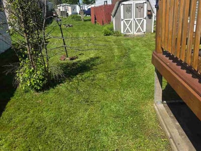 Lawn Care service in Cherry Hill, 16401