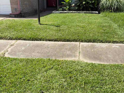 Lawn Care service in Laredo, 78040