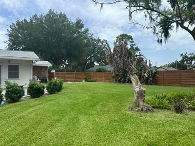 Lawn Care service in Sun City Center, 33573
