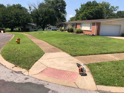 Lawn Care service in High Ridge, 63049