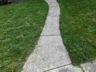 Lawn Care service in Cherry Hill, 16401
