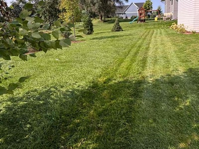Lawn Care service in Woodbury, 55125