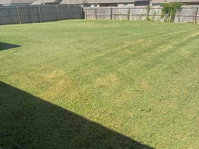 Lawn Care service in Pearl, 39208