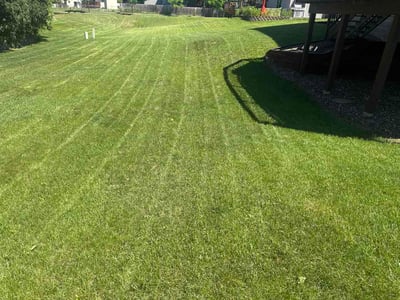 Lawn Care service in New Hope, 55428