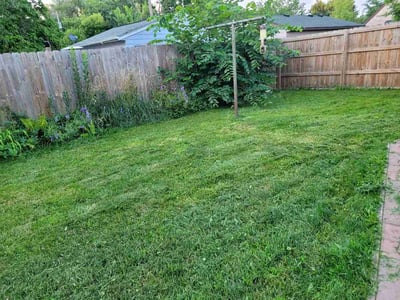 Lawn Care service in New Hope, 55428