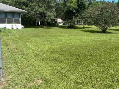 Lawn Care service in Inverness, 34452