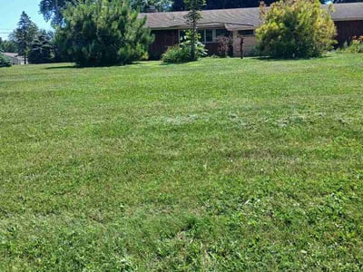 Lawn Care service in Eagan, 55123