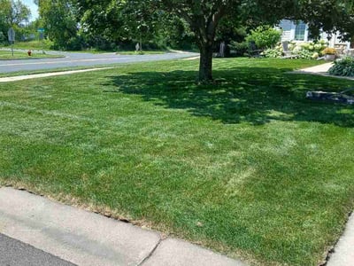 Lawn Care service in Eagan, 55123